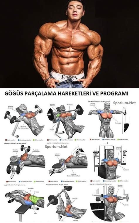 Sporcular İçin En İyi Güç Antrenman Programları