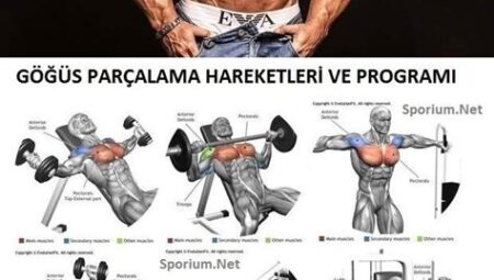 Sporcular İçin En İyi Güç Antrenman Programları